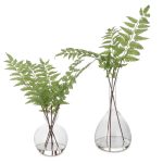 Штучнi квiти Country Ferns (набiр з 2)