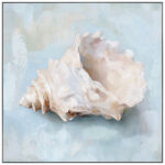 Картина Seashell II