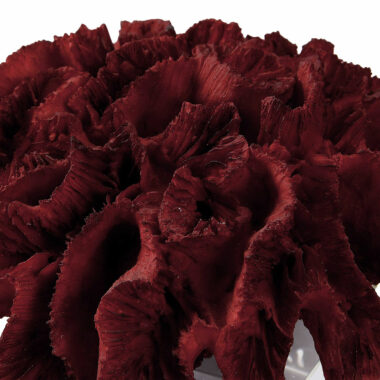 Статуетка Red Coral