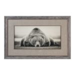 Картина Deep Sleep Bear